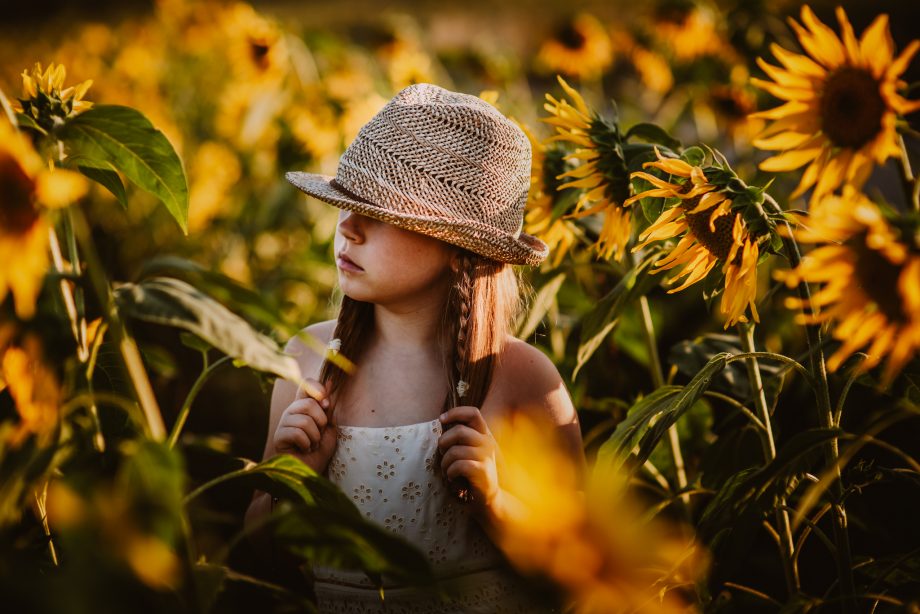 sesja w słonecznikach