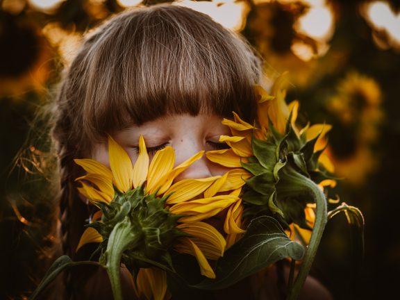 sesja w słonecznikach